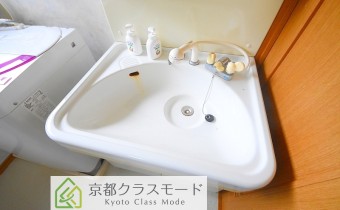 シャンプードレッサー
