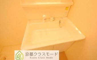 シャンプードレッサー