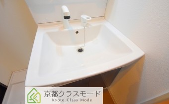 シャンプードレッサー