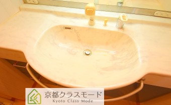 シャンプードレッサー　※室内写真は同マンション内の別のお部屋のものです。