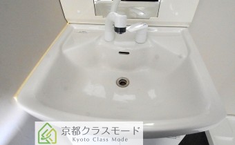 シャンプードレッサー