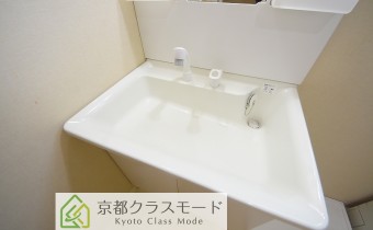シャンプードレッサー
