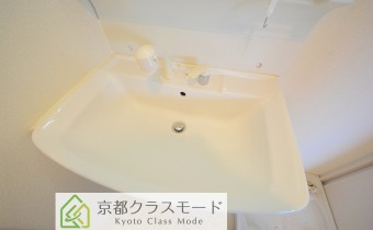 シャンプードレッサー