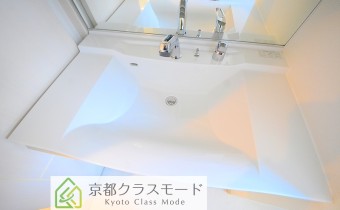 シャンプードレッサー