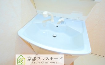シャンプードレッサー