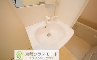 シャンプードレッサー