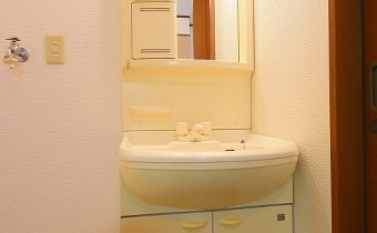 シャンプードレッサー