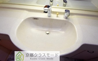 シャンプードレッサー