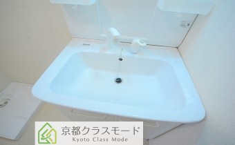 シャンプードレッサー