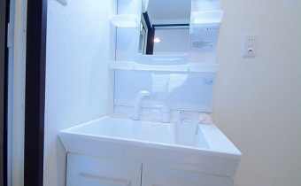 シャンプードレッサー