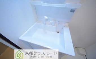 シャンプードレッサー