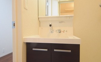 シャンプードレッサー