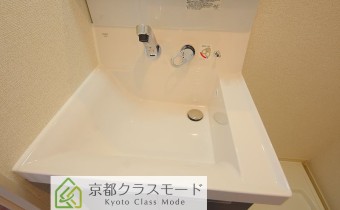 シャンプードレッサー