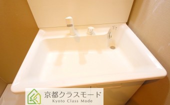 シャンプードレッサータイプ　