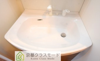 シャンプードレッサー