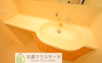 シャンプードレッサー