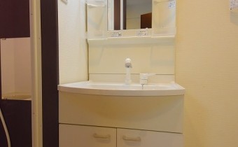 シャンプードレッサー