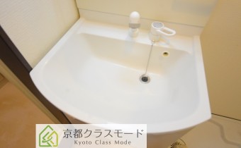 シャンプードレッサー