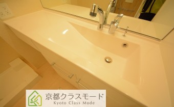 シャンプードレッサー