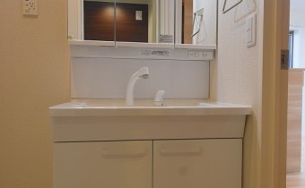シャンプードレッサー
