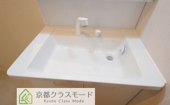 シャンプードレッサー