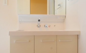 シャンプードレッサー