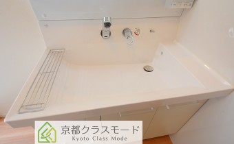 シャンプードレッサー