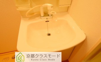 シャンプードレッサー