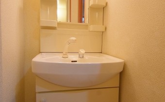 シャンプードレッサー