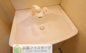 シャンプードレッサー