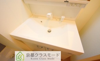 シャンプードレッサー