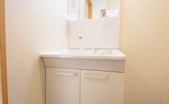 シャンプードレッサー
