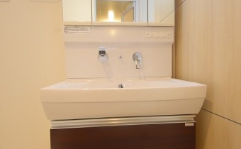 シャンプードレッサー