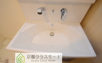 シャンプードレッサー