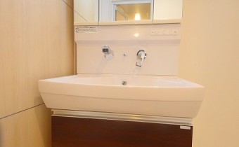 シャンプードレッサー