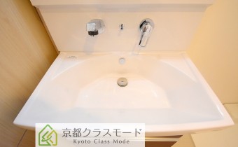 シャンプードレッサー