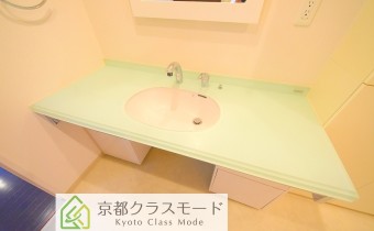 シャンプードレッサー