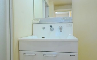 シャンプードレッサー