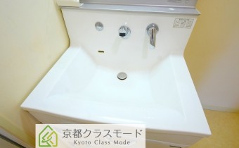 シャンプードレッサー