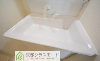 シャンプードレッサー