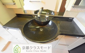 シャンプードレッサー