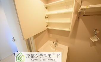 シャンプードレッサー