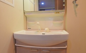 シャンプードレッサー