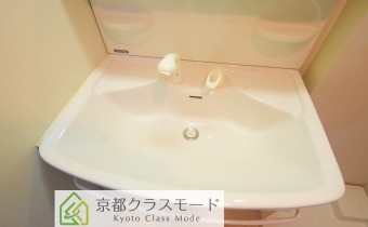 シャンプードレッサー