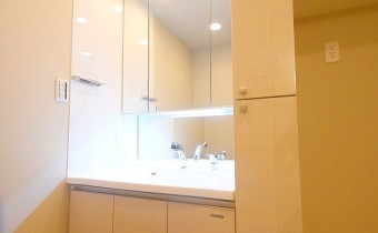 シャンプードレッサー※同マンション別タイプの写真です