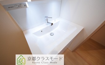 シャンプードレッサー