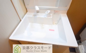 シャンプードレッサー