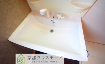 シャンプードレッサー