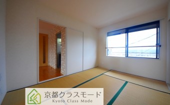和6