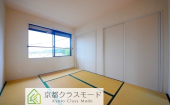 和6
